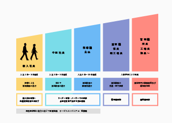 キャリアプラン　イメージ